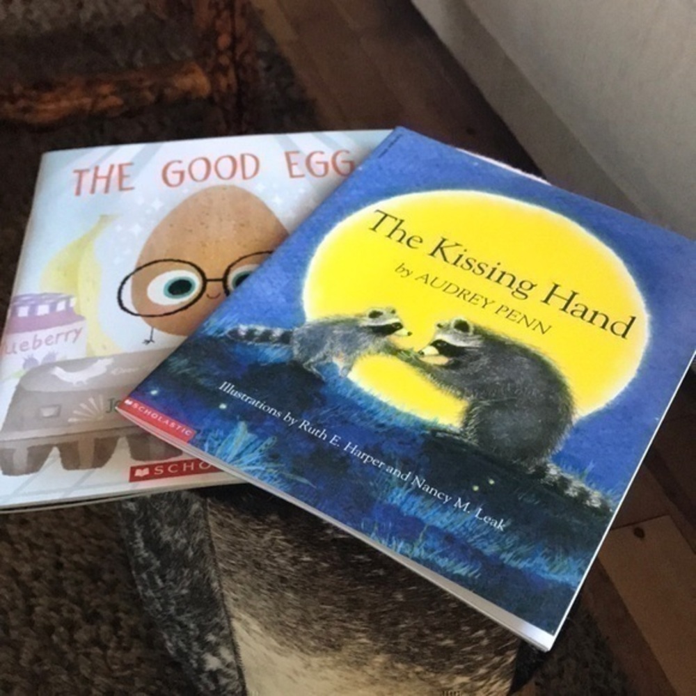 The Kissing Hand and The Good Egg Book Storybook children book